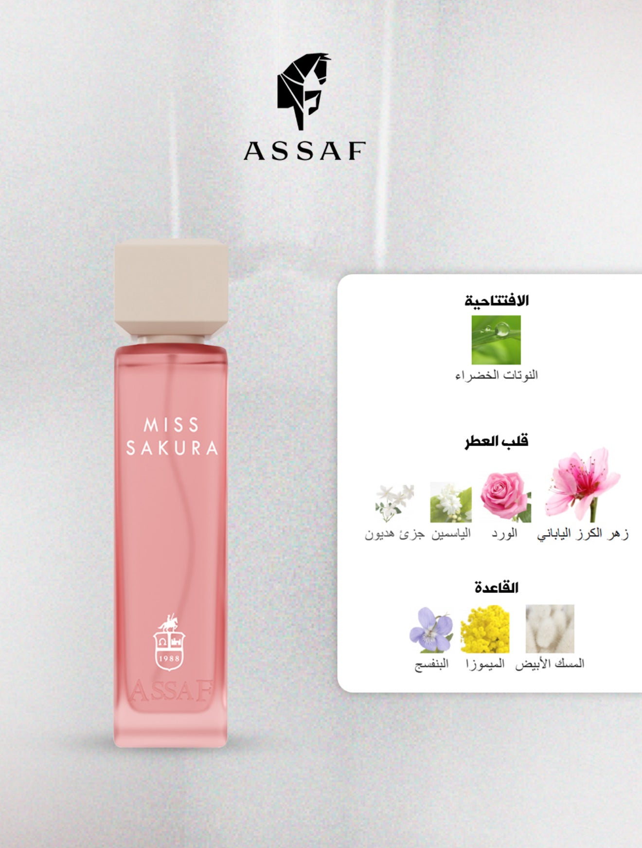 MISS COLLECTION 600ml - مس كولكشن