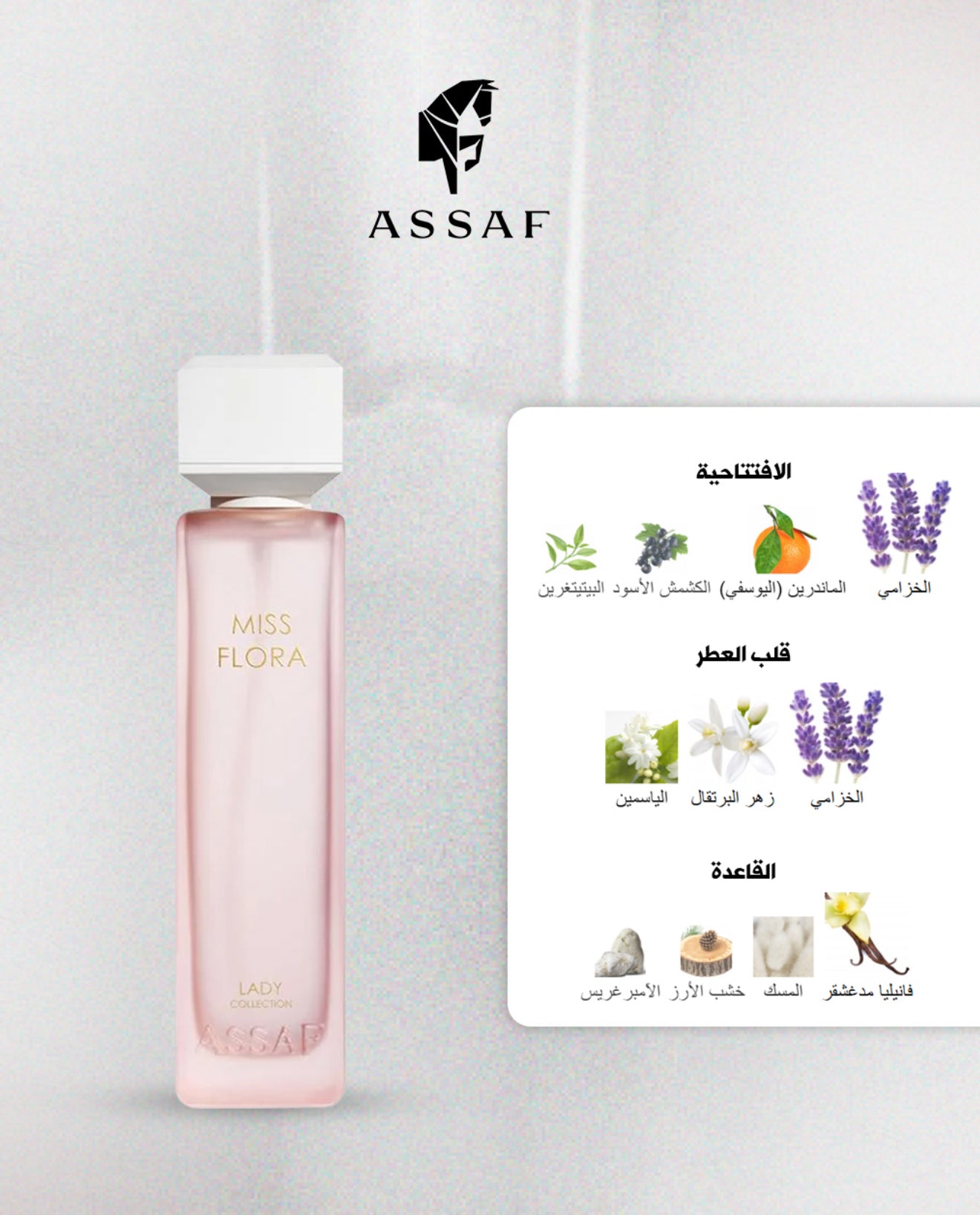 MISS COLLECTION 600ml - مس كولكشن