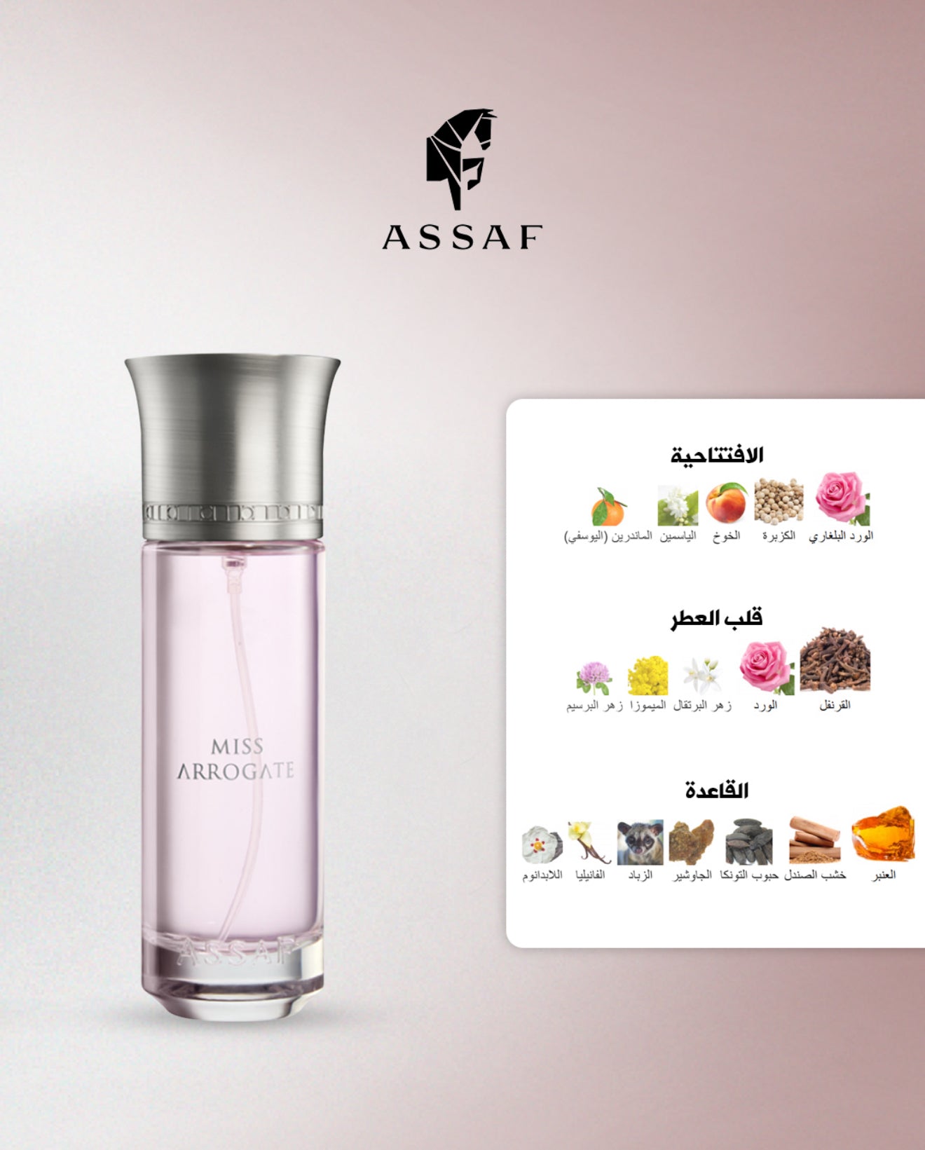 ARROAGTE SET