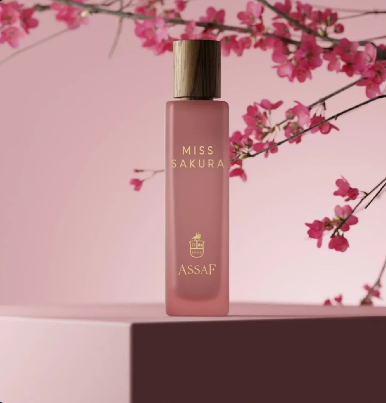 MISS COLLECTION 600ml - مس كولكشن
