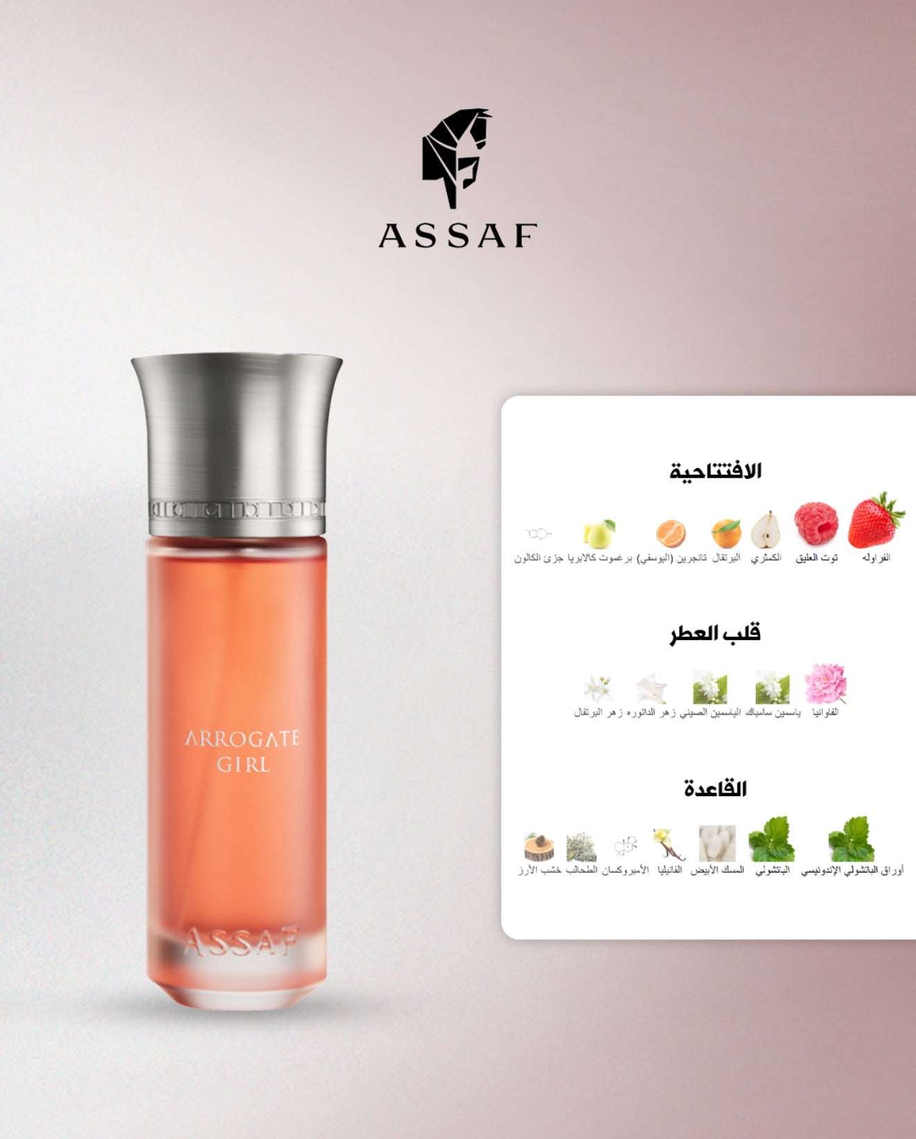 ARROAGTE SET