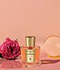 ACQUA DI PARMA ROSA NOBILE Eau de Parfum 100ML - Original Tester Perfume