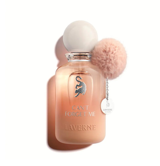 MY PAPER WAS BROKEN/ CAN'T FORGET ME