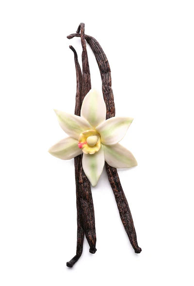 Vanilla
