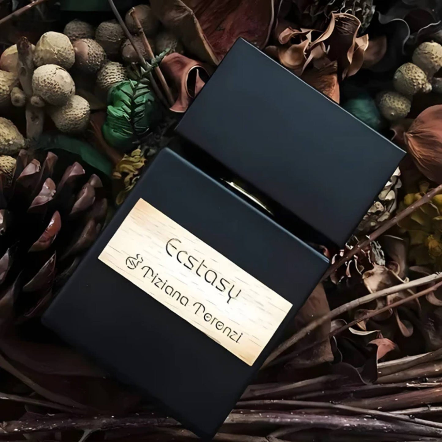 TIZIANATERENZI Ecstasy  EXTRAIT EDP 1OOML-  Original Tester Perfume